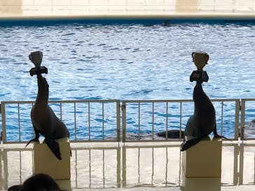 マリンワールド海の中道に投稿された画像（2021/3/20）