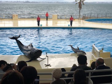 マリンワールド海の中道に投稿された画像（2021/3/20）