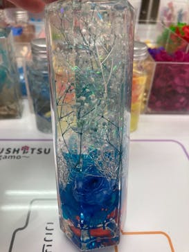 ずこうしつ〜sugamo〜に投稿された画像（2021/3/20）