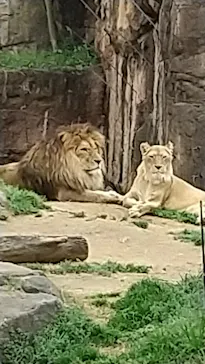 天王寺動物園に投稿された画像（2021/3/20）