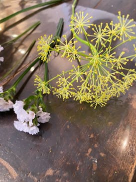 アトリエgreen（グリーン）に投稿された画像（2021/3/20）