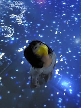 マクセル アクアパーク品川に投稿された画像（2021/3/20）