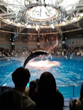 マクセル アクアパーク品川に投稿された画像（2021/3/20）