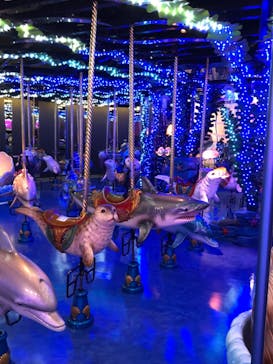 マクセル アクアパーク品川に投稿された画像（2021/3/20）