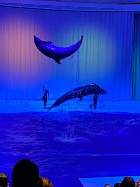 アクアワールド茨城県大洗水族館に投稿された画像（2021/3/20）