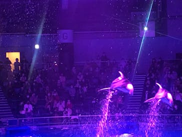 マクセル アクアパーク品川に投稿された画像（2021/3/20）