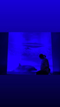 アクアワールド茨城県大洗水族館に投稿された画像（2021/3/20）