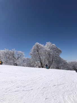 野沢温泉スキー場に投稿された画像（2021/3/20）