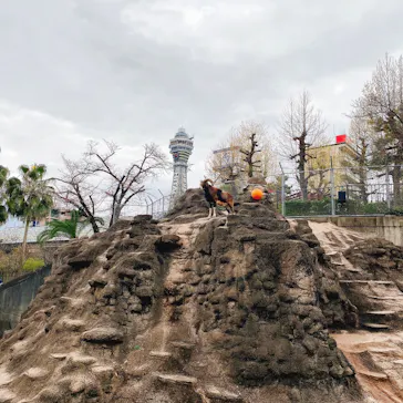 天王寺動物園に投稿された画像（2021/3/20）