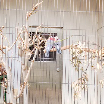 天王寺動物園に投稿された画像（2021/3/20）