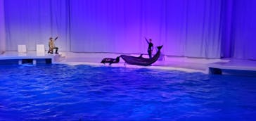 アクアワールド茨城県大洗水族館に投稿された画像（2021/3/20）