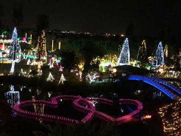 美らヤシパークオキナワ・東南植物楽園に投稿された画像（2021/3/20）