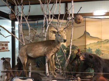 水上高原 藤原スキー場に投稿された画像（2021/3/20）