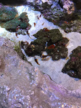 すみだ水族館に投稿された画像（2021/3/20）