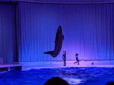 アクアワールド茨城県大洗水族館に投稿された画像（2021/3/20）