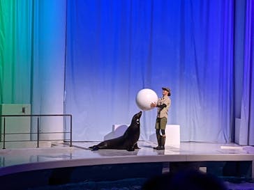 アクアワールド茨城県大洗水族館に投稿された画像（2021/3/20）