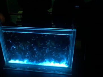 南知多ビーチランド＆南知多おもちゃ王国に投稿された画像（2021/3/20）