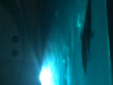 南知多ビーチランド＆南知多おもちゃ王国に投稿された画像（2021/3/20）