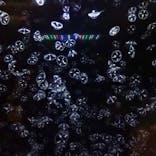 アクアワールド茨城県大洗水族館に投稿された画像（2021/3/20）