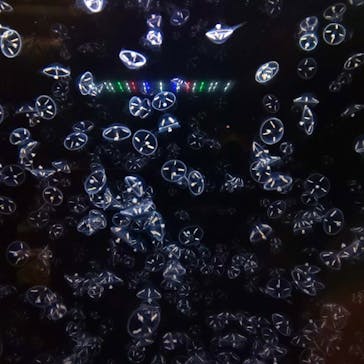 アクアワールド茨城県大洗水族館に投稿された画像（2021/3/20）