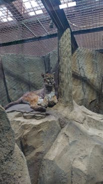 神戸どうぶつ王国に投稿された画像（2021/3/20）