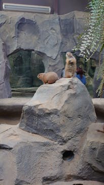 神戸どうぶつ王国に投稿された画像（2021/3/20）