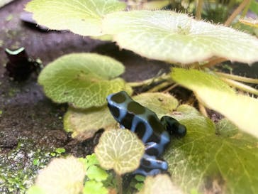 サンシャイン水族館に投稿された画像（2021/3/20）