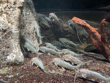 サンシャイン水族館に投稿された画像（2021/3/20）