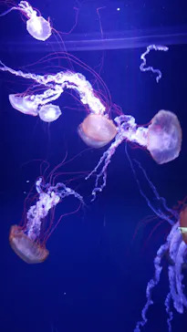 すみだ水族館に投稿された画像（2021/3/20）