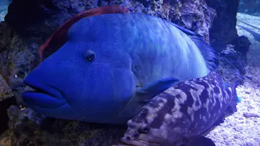すみだ水族館に投稿された画像（2021/3/20）