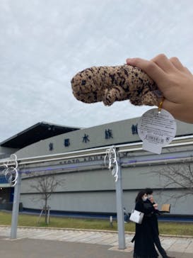 京都水族館に投稿された画像（2021/3/21）