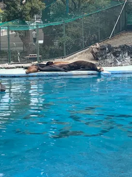 天王寺動物園に投稿された画像（2021/3/21）