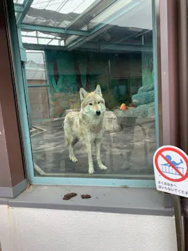 天王寺動物園に投稿された画像（2021/3/21）