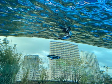 サンシャイン水族館に投稿された画像（2021/3/21）