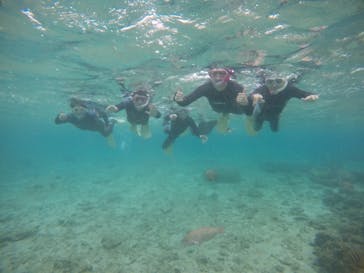 武藤潜水に投稿された画像（2021/3/21）