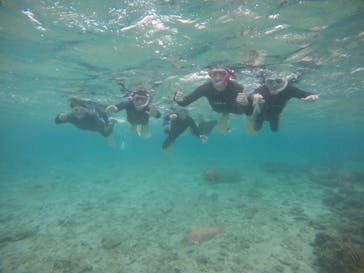 武藤潜水に投稿された画像（2021/3/21）