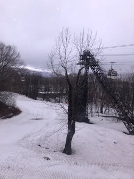 つがいけマウンテンリゾートに投稿された画像（2021/3/21）