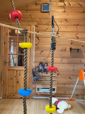 おさるランド＆アニタウン　日光さる軍団劇場に投稿された画像（2021/3/21）