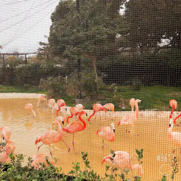 天王寺動物園に投稿された画像（2021/3/21）