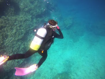 DIVING-SHOP SUNSに投稿された画像（2021/3/21）