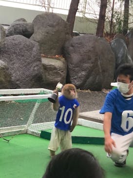 おさるランド＆アニタウン　日光さる軍団劇場に投稿された画像（2021/3/21）