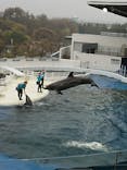 京都水族館に投稿された画像（2021/3/21）