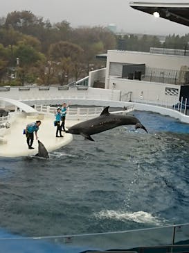 京都水族館に投稿された画像（2021/3/21）