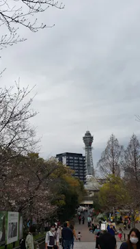 天王寺動物園に投稿された画像（2021/3/21）