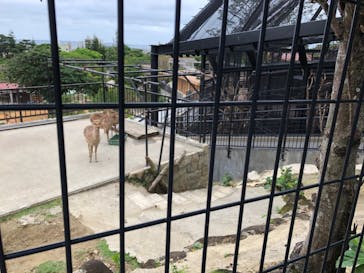 沖縄こどもの国に投稿された画像（2021/3/21）