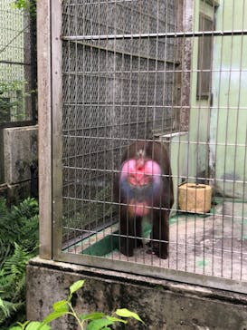 沖縄こどもの国に投稿された画像（2021/3/21）