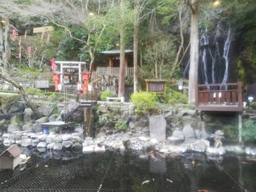 箱根湯本温泉 天成園に投稿された画像（2021/3/21）