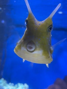 横浜・八景島シーパラダイスに投稿された画像（2021/3/20）