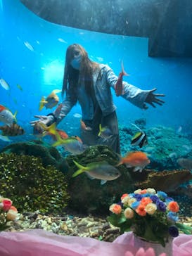 京急油壺マリンパークに投稿された画像（2021/3/21）