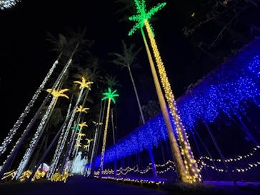 美らヤシパークオキナワ・東南植物楽園に投稿された画像（2021/3/21）